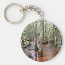 Coastal Plain stream, braided system, sandbed stre Key Chain