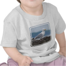 Coastal Seagull T Shirts