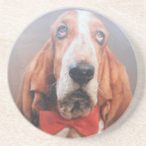 Coaster With Sherlock Basset Hound