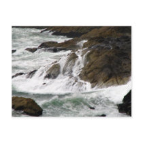 "Coastline" Postcard