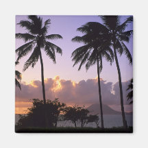 Coastline St. Kitts Fridge Magnets