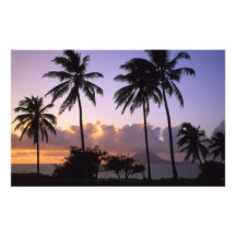 Coastline St. Kitts Photographic Print