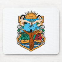Coat of Arms of Baja California Mexico Official