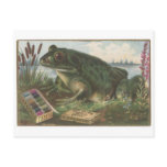 Coats Thread Frog Trading Card Postcard