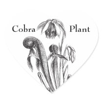 Cobra Plant, Carnivorous Plant Stickers