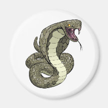 Cobra snake about to strike magnet
