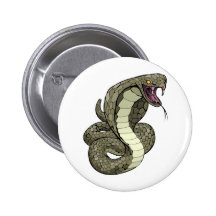 Cobra snake about to strike pinback buttons
