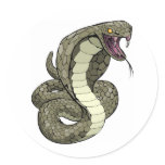 Cobra snake about to strike stickers