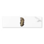 Cobra snake ready to strike bumper sticker