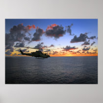 Cobra Sunset Posters