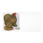 Cochin:  Gold-laced Hen photo cards