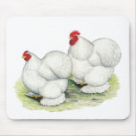 Cochin:  White Bantams Mousepad