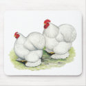 Cochin:  White Bantams mousepads