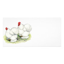 Cochin:  White Bantams Personalized Photo Card