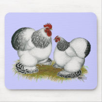 Cochins:  Columbian Bantams Mousepad