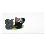 Cochins:  Silver-penciled photo cards
