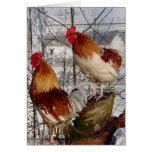 Cock-a-doodle-do cards