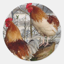 Cock-a-doodle-do Sticker