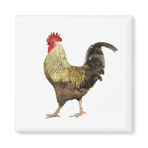 Cock-A-Doodle-Doo  Magnet