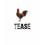 COCK TEASE t-shirts