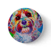 Cockapoo #1