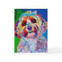 Cockapoo #1