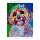 Cockapoo #1 greeting card