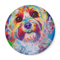 Cockapoo #1