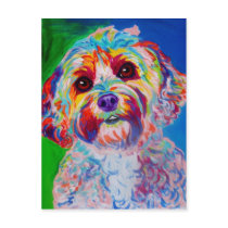 Cockapoo #1