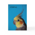 Cockatiel, A little bird... cards
