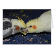 Cockatiel Love Greeting Card