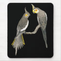 Cockatiel Pair - Nymphicus hollandicus on Black mousepads