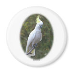 Cockatoo 9Y319D-073 magnets