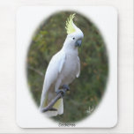 Cockatoo 9Y319D-073 mousepads