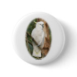 Cockatoo 9Y336D-007 buttons