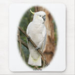 Cockatoo 9Y336D-007 mousepads