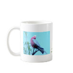 Cockatoo and Galah mug