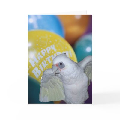 Cockatoo Birthday Card by Ffamily