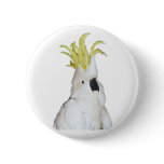 Cockatoo buttons