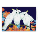 Cockatoo cards