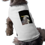Cockatoo Close-Up pet clothing