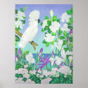 Cockatoo Gardenias and Iris posters