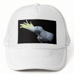 Cockatoo Hat