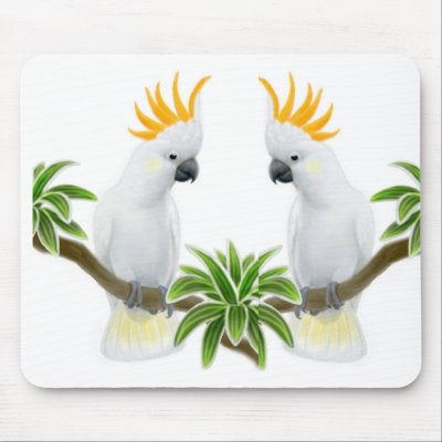 Cockatoo Love Mousepad by twopurringcats