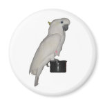 Cockatoo Magnet