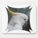 Cockatoo Mouse Pad