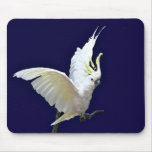 cockatoo mousepads
