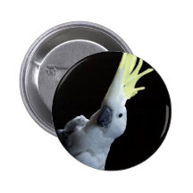 Cockatoo Parrot Pins