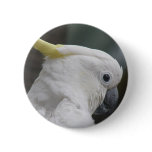 Cockatoo Round Button