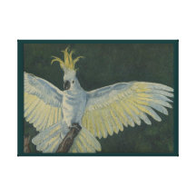 Cockatoo Stretched Canvas Print